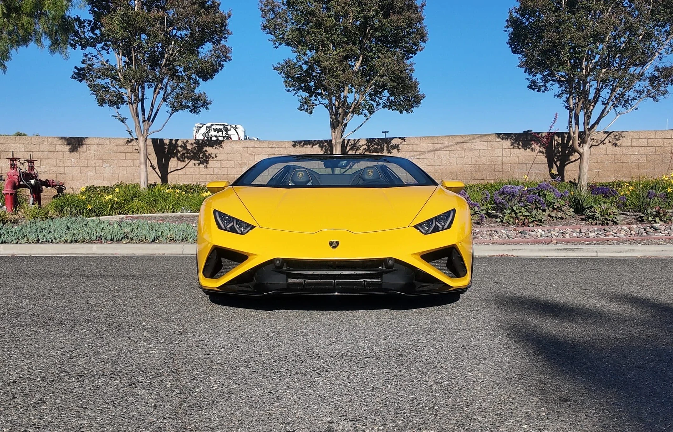 Low Lamborghini on a Miami street